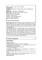 Konspekts 'Konspekts anatomijas eksāmenam', 23.