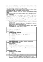 Konspekts 'Konspekts anatomijas eksāmenam', 24.