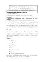 Konspekts 'Konspekts anatomijas eksāmenam', 25.