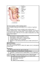 Konspekts 'Konspekts anatomijas eksāmenam', 39.