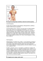 Konspekts 'Konspekts anatomijas eksāmenam', 42.