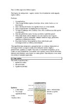 Konspekts 'Konspekts anatomijas eksāmenam', 44.