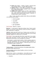 Konspekts 'Konspekts anatomijas eksāmenam', 46.