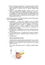 Konspekts 'Konspekts anatomijas eksāmenam', 47.