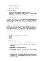 Konspekts 'Konspekts anatomijas eksāmenam', 67.