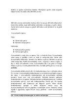 Konspekts 'Konspekts anatomijas eksāmenam', 70.