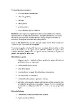 Konspekts 'Konspekts anatomijas eksāmenam', 71.