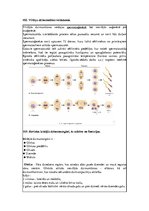 Konspekts 'Konspekts anatomijas eksāmenam', 73.