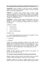 Konspekts 'Konspekts anatomijas eksāmenam', 77.