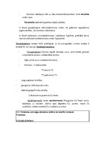 Konspekts 'Konspekts anatomijas eksāmenam', 82.