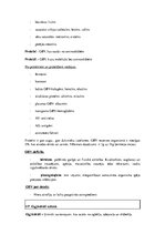 Konspekts 'Konspekts anatomijas eksāmenam', 86.