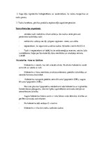 Konspekts 'Konspekts anatomijas eksāmenam', 89.