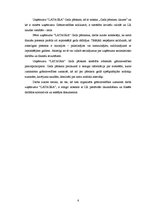 Prakses atskaite 'Prakses atskaite agroķīmijas tirzniecības uzņēmumā', 6.