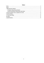 Konspekts 'Individuālais ceļojums', 2.
