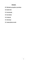 Konspekts 'Individuālais ceļojums', 8.