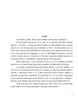 Referāts 'Muitas kultūras iekšējās kontroles sistēmas novērtējums', 3.