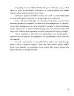 Referāts 'Muitas kultūras iekšējās kontroles sistēmas novērtējums', 10.