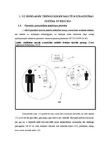 Referāts 'Mobilo tehnoloģiju izmantojums attālinātai mazuļu uzraudzībai', 5.