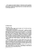 Referāts 'Rīgas centra parki', 19.