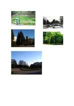 Referāts 'Rīgas centra parki', 25.