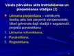 Prezentācija 'Valsts pārvaldes akti, veidi un prasības pret tiem', 21.
