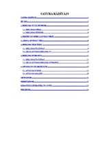 Referāts 'Televīzijas un interneta ietekme uz skolēnu un studentu lēmuma pieņemšanu par pr', 1.