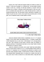 Referāts 'Televīzijas un interneta ietekme uz skolēnu un studentu lēmuma pieņemšanu par pr', 18.