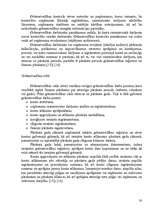 Diplomdarbs 'Bilances posteņu novērtēšana un analīze uzņēmumā SIA „Sabiedriskais Informācijas', 20.