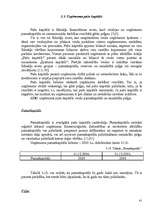 Diplomdarbs 'Bilances posteņu novērtēšana un analīze uzņēmumā SIA „Sabiedriskais Informācijas', 41.