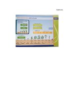 Referāts 'Dažādu kartupeļu aizsardzības shēmu efektivitātes vērtējums', 33.