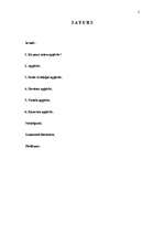 Referāts 'Senās Grieķijas apģērbs', 2.