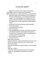 Referāts 'Senās Grieķijas apģērbs', 4.