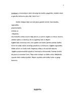 Referāts 'Senās Grieķijas apģērbs', 7.