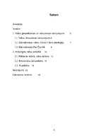 Referāts 'Ziemeļkoreja un Dienvidkoreja - divas pretrunīgas valstis', 4.