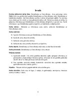 Referāts 'Ziemeļkoreja un Dienvidkoreja - divas pretrunīgas valstis', 5.