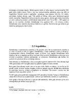 Referāts 'Ziemeļkoreja un Dienvidkoreja - divas pretrunīgas valstis', 21.