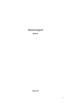 Konspekts 'Kibernoziegumi Latvijā', 1.