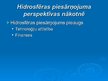 Prezentācija 'Hidrosfēras piesārņojums', 13.