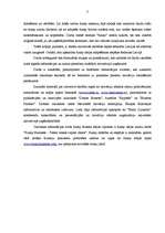 Referāts 'Nākotnes bizness - inovatīvā darbība un funky bizness', 3.