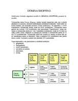 Konspekts 'Tirgus segmentācija - Domina Shopping', 1.