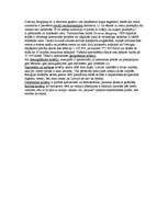 Konspekts 'Tirgus segmentācija - Domina Shopping', 2.