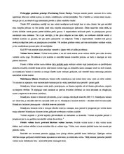 Konspekts 'Valūtas tirgus būtība', 4.