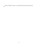 Referāts 'Bezvadu tīkla uzlabošana', 13.