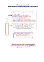 Konspekts 'Pirmā pasaules kara cēloņi', 1.