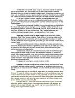 Referāts 'Zemās latviešu dievības', 2.