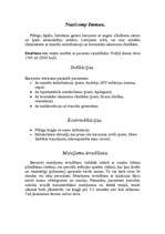 Referāts 'Enterālā barošana', 3.