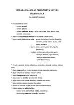 Konspekts 'Vizuālās mākslas priekšmeta saturs sākumskolā', 1.