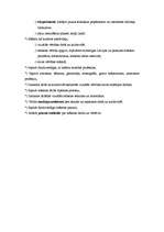 Konspekts 'Vizuālās mākslas priekšmeta saturs sākumskolā', 2.