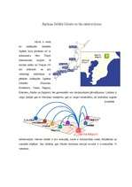 Referāts 'Lielāko lidostu raksturojums', 4.