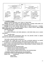 Konspekts 'Eksāmena jautājumi finanšu teorijā', 15.